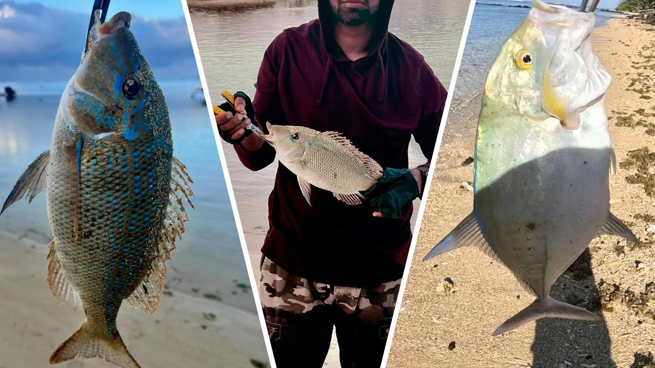 Shore Casting at Bel Ombre during Low Tide.. Fishing Beach Mauritius 2025