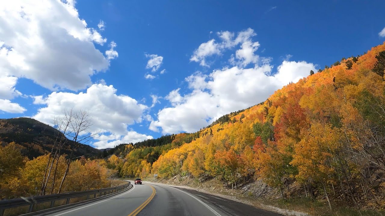 Poncha Springs to Gunnison, Colorado | Just Nature and Aspen Trees