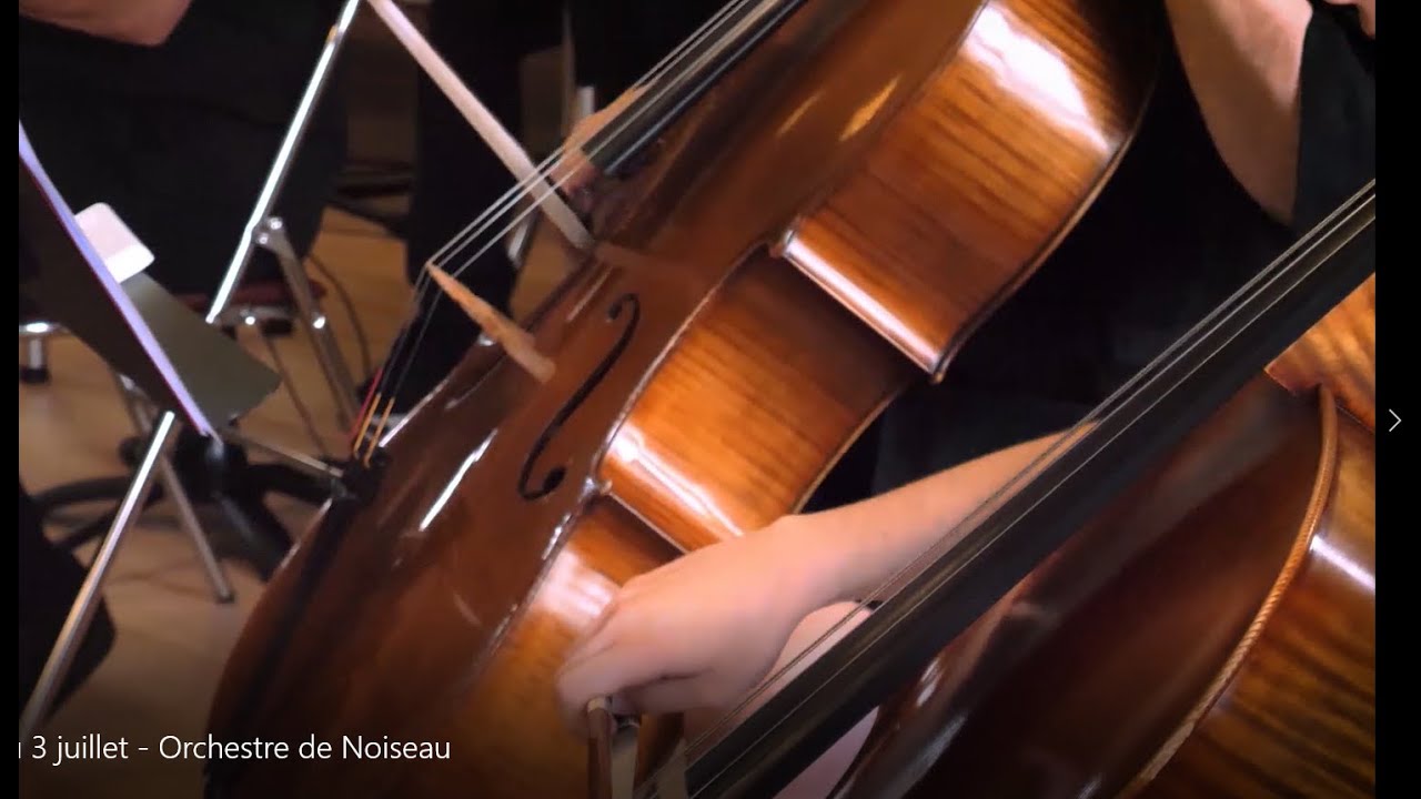 Concert du 3 juillet 2022   Orchestre de Noiseau