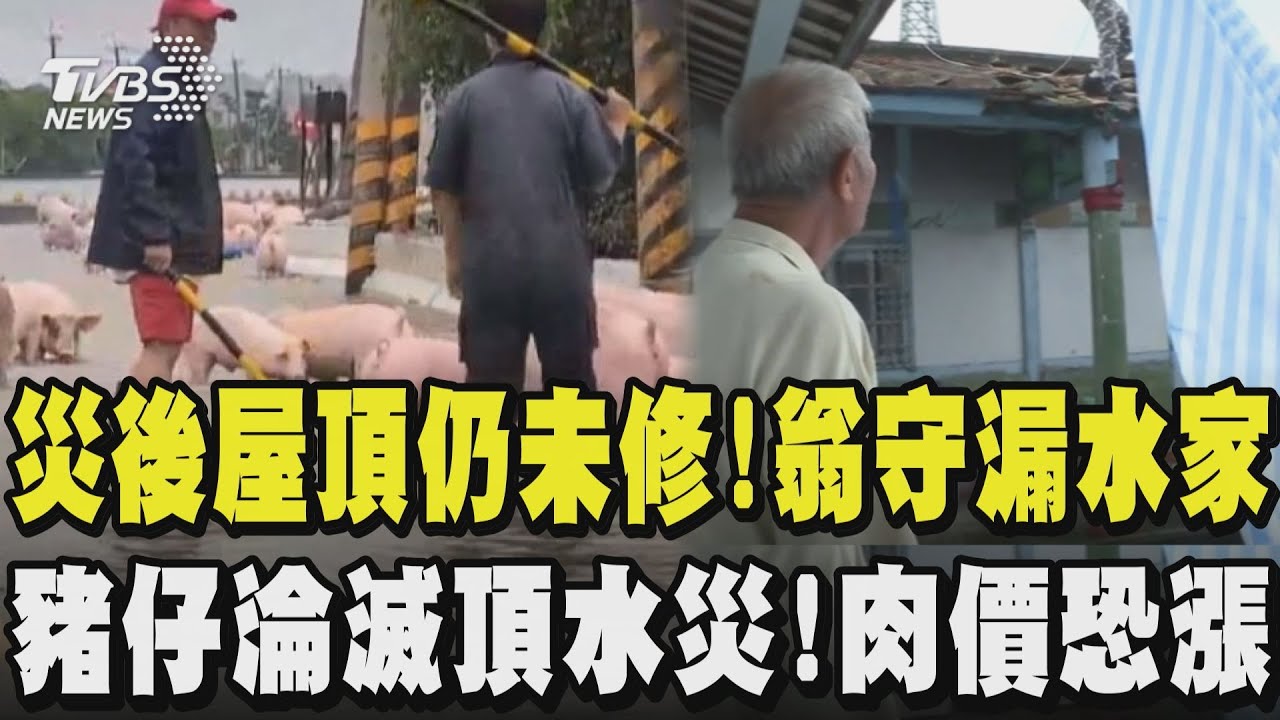 災後屋頂仍未修!又遇連夜大雨 翁守60年漏水家不離開 房屋修繕排天荒 女兒四處求援  豬仔面臨滅頂水災!民眾憂豬肉價恐漲 嘉義淹水災情未解 長輩受困靠友人送餐｜TVBS新聞@TVBSNEWS02