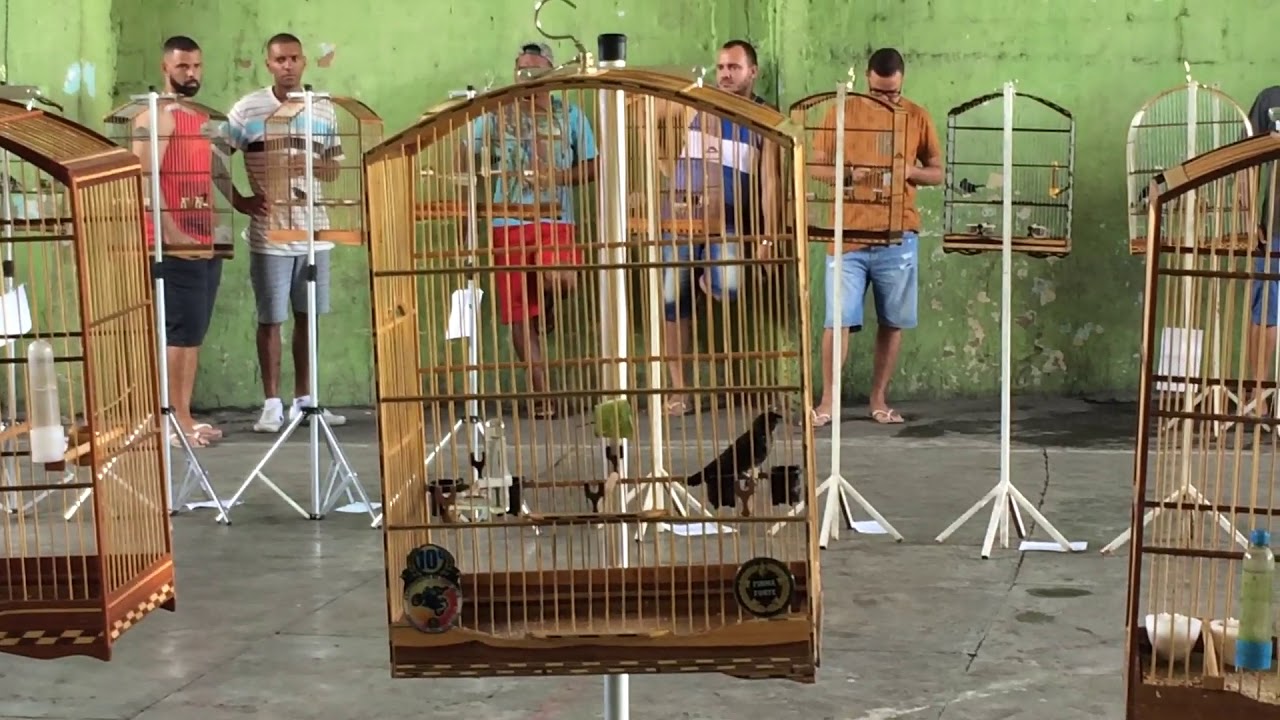 Torneio de Tiziu - 2• Etapa do Campeonato da Moto 25/02/2018