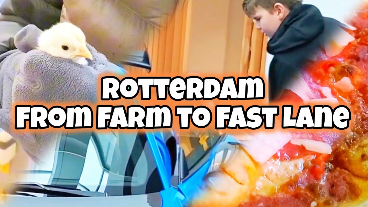 Chickens to Porsches to Pizza: A Rotterdam Day 🐥🚘🍕