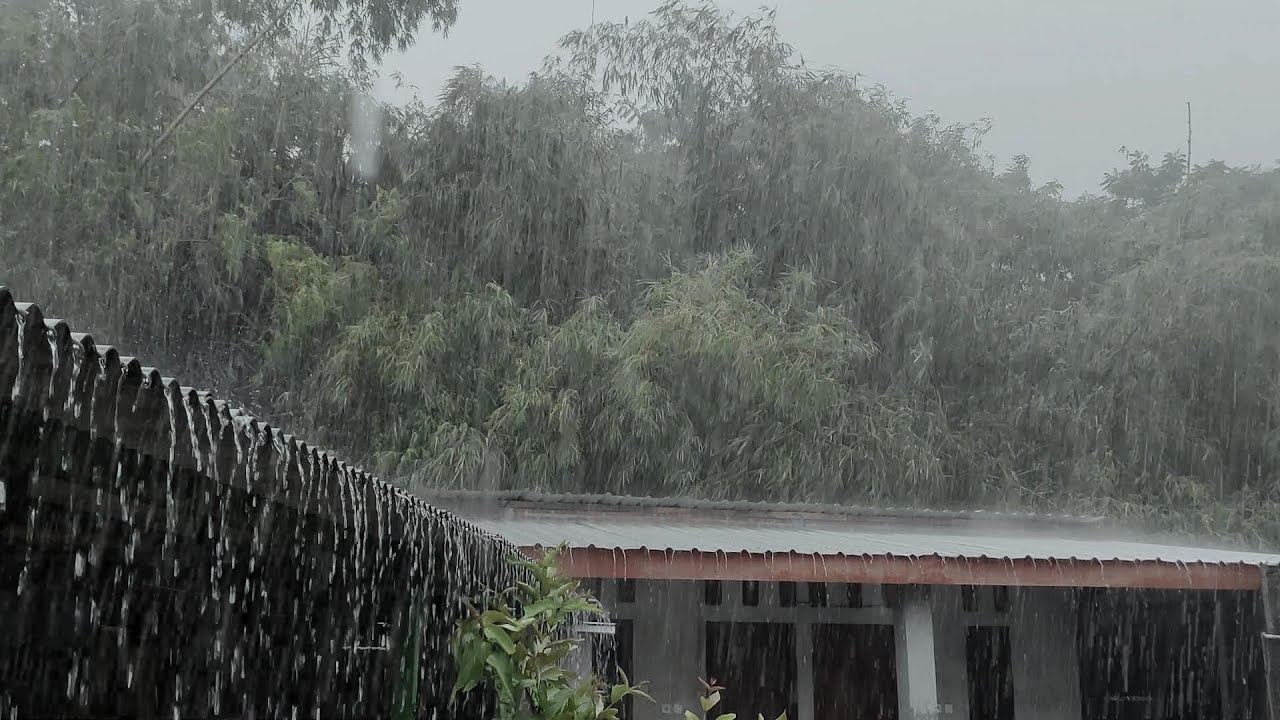 Calming Daytime Rain Sounds | Relaxing ASMR for Focus, Study & Deep Relaxation