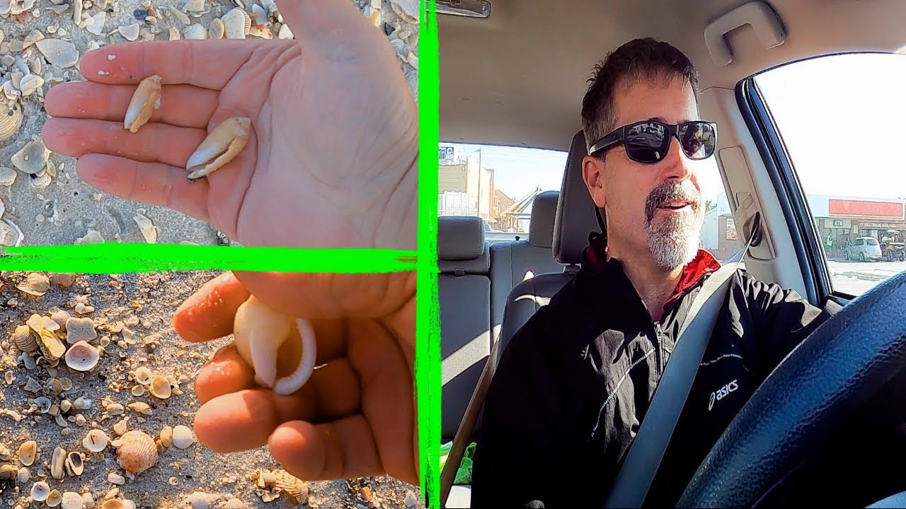 Keep Walking for SHELLING Success: Pensacola Beach