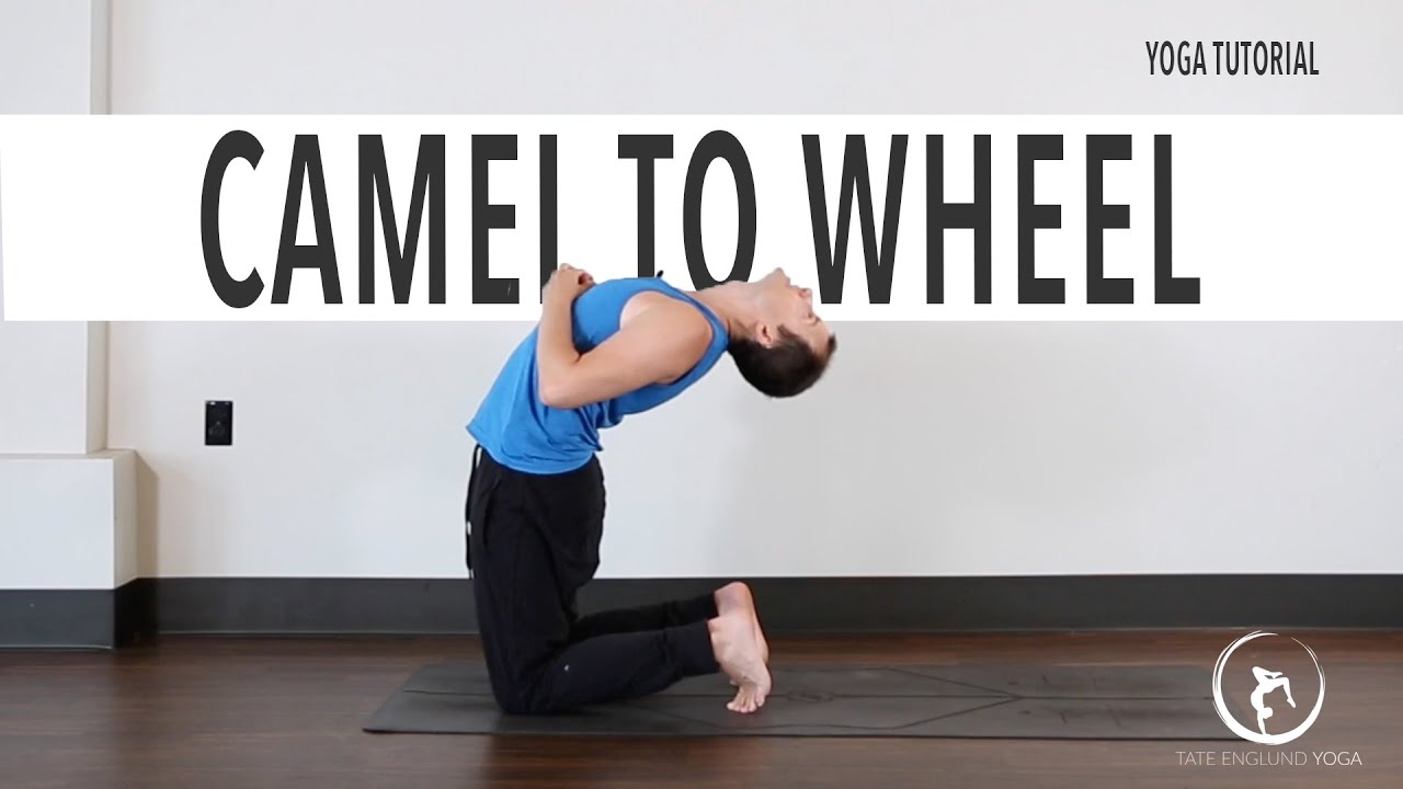 Camel to Wheel Transition | Yoga Tutorial | Tate Englund Yoga