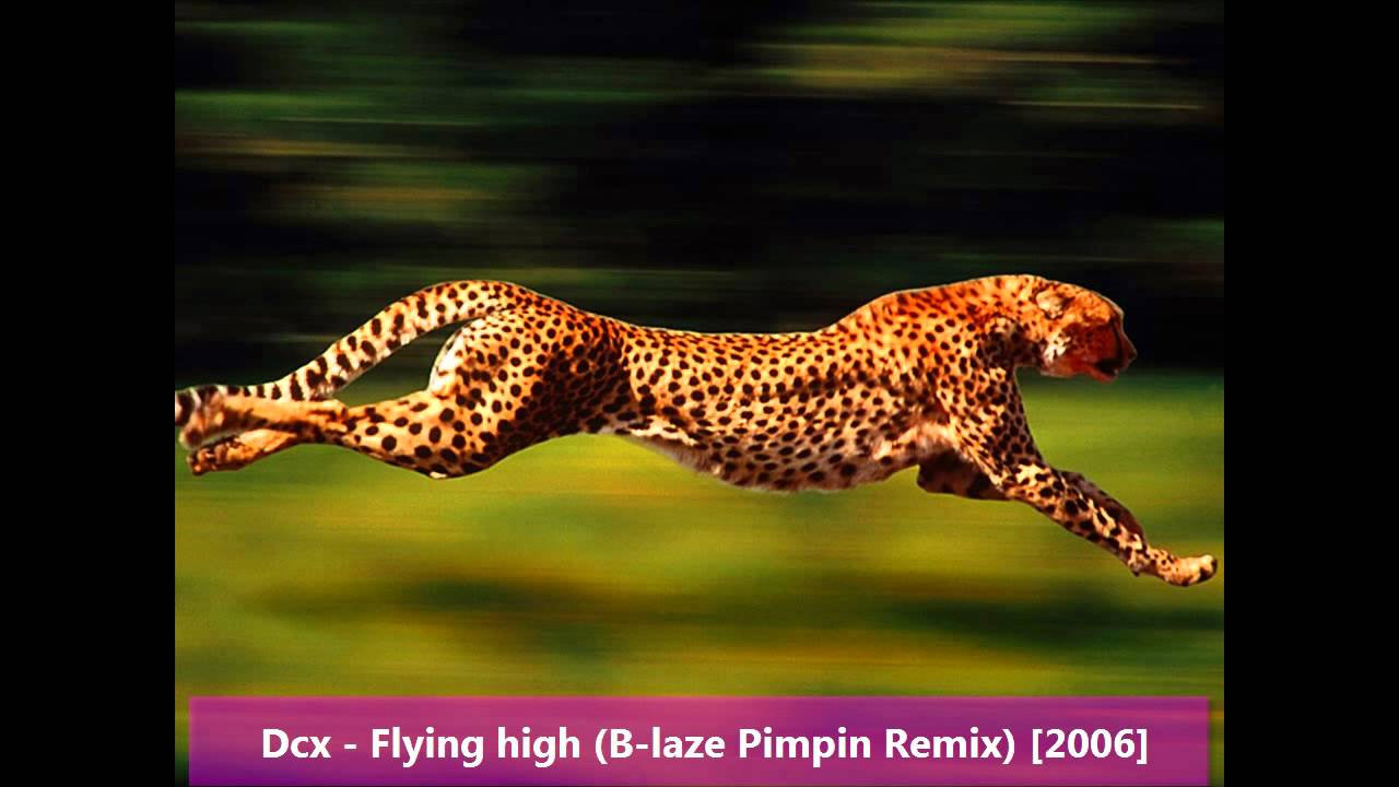 Dcx - Flying high (B-laze Pimpin Remix)