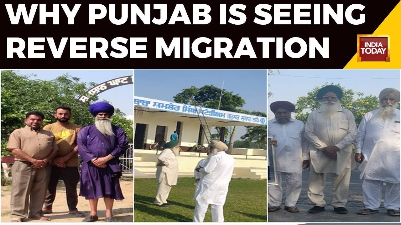 Why Punjab Is Seeing Reverse Migration Amid Sweeping External Exodus | Punjab News