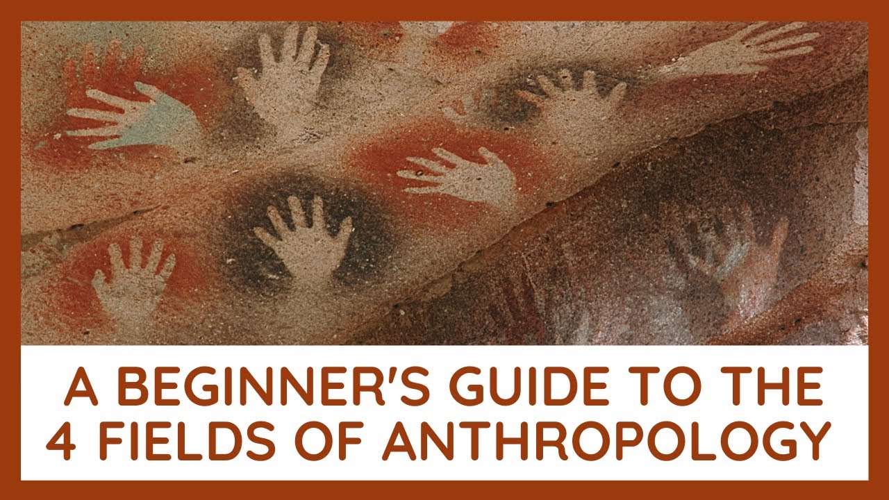 A Beginner's Guide to the 4 Fields of Anthropology