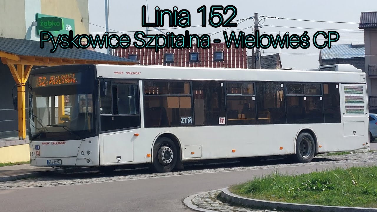 MAZ 203.069 #131 - Nowak Transport Linia 152  🎵 ZF 🎵