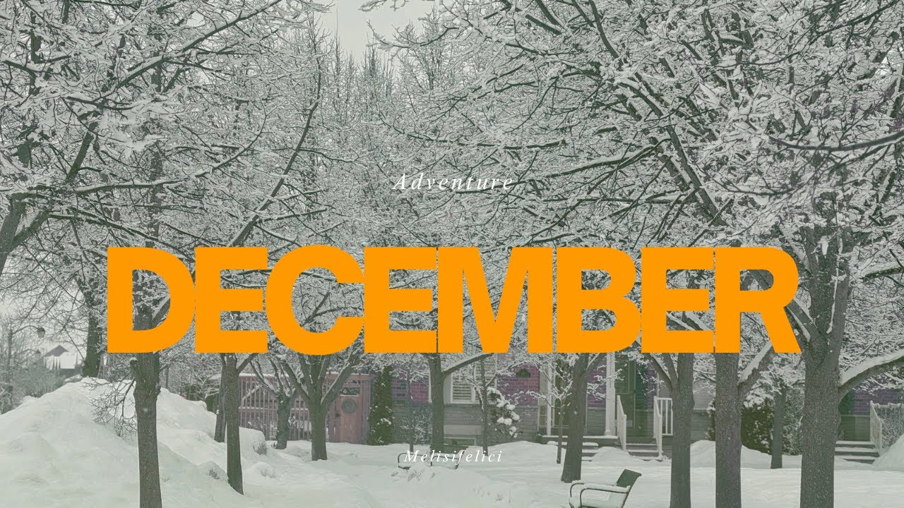 VLOGMAS Week 2 | Decorate and shop with me for Christmas, Dinner w/friends, Mochi plays in the snow