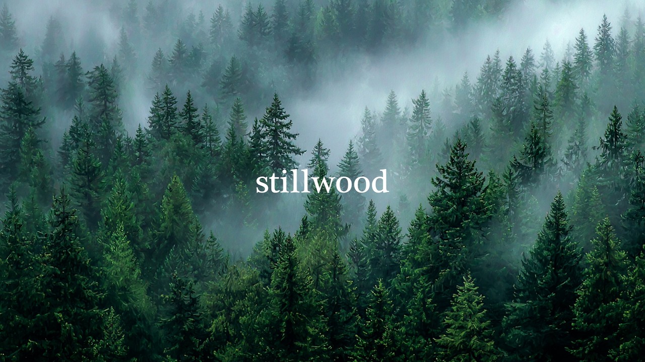 Stillwood | Misty Forest Jazz (Silent Hours)
