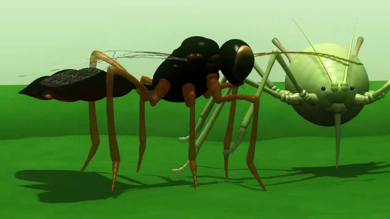 Biologische gewasbescherming in de praktijk: 2 voorbeelden