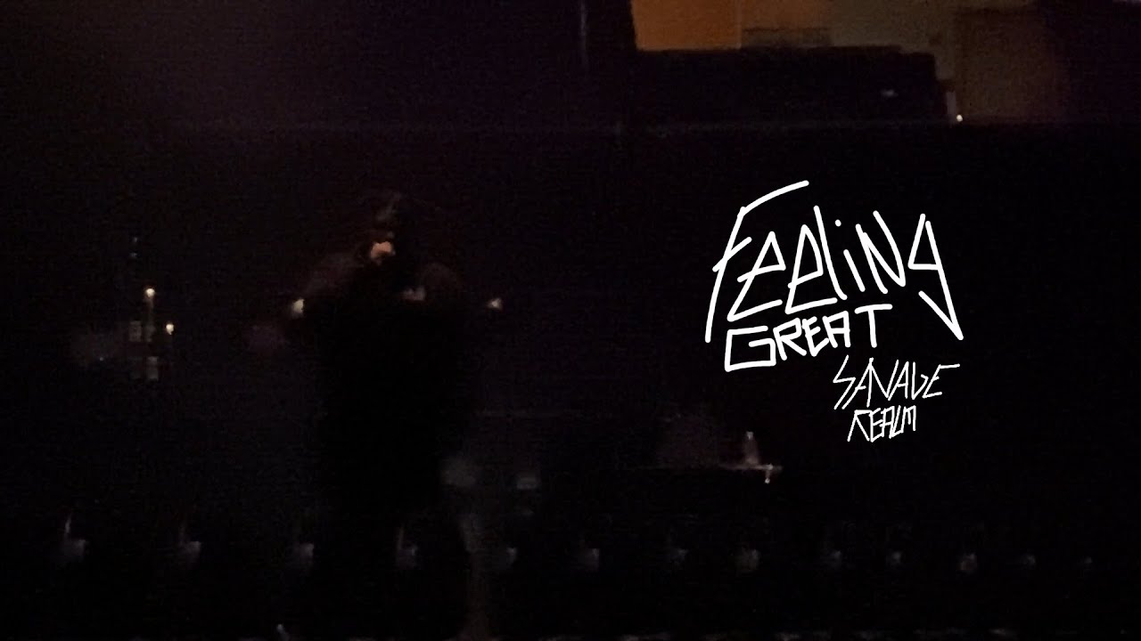 SavageRealm - Feeling Great (Live at Washington D.C)