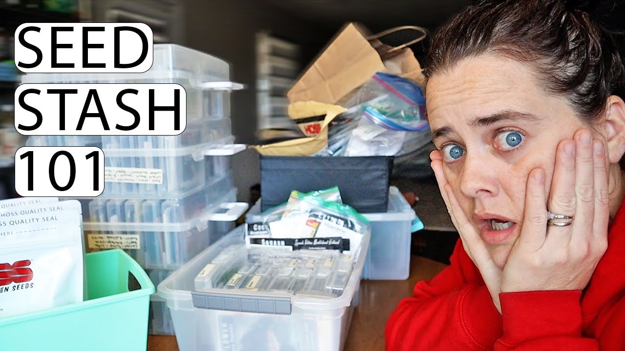 The Ultimate Seed Storage System | Organize Your Seed Stash Like a Pro | Fermented Homestead