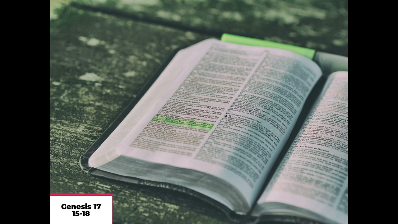 Daily Bible Reading: Genesis 17: 15-18