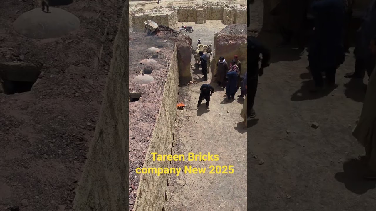Tareen Bricks company #bricks #live #bricks #automobile #farming #foryou #construction #fypシ゚viral