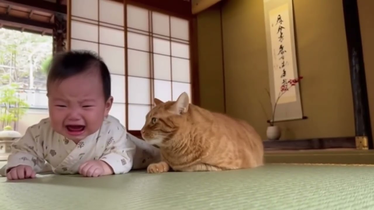赤ちゃんの泣き声にすぐ反応する猫…優しすぎる行動にほっこり