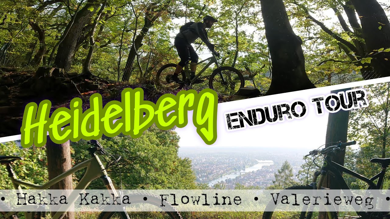 Enduro Tour Heidelberg MTB Königstuhl Hakka Kakka Valerieweg Cannondale Trigger Cube Stereo SLT