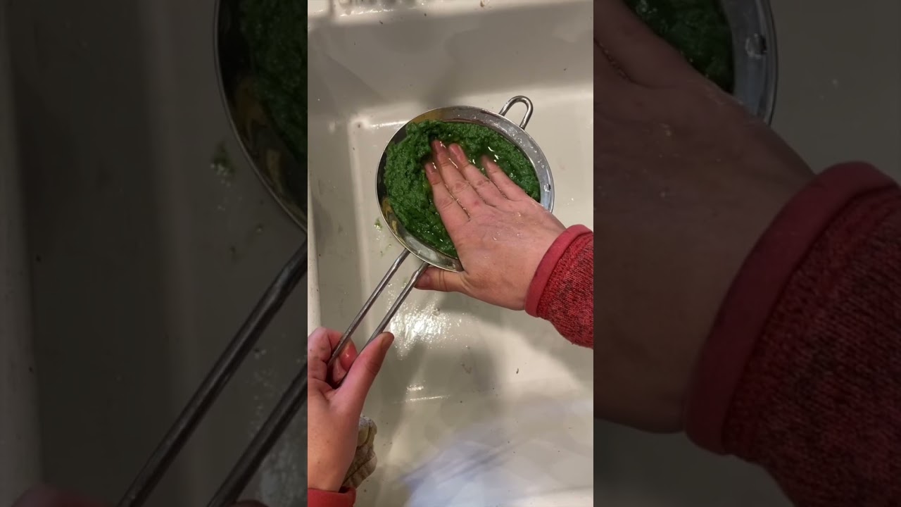 Sustainable Art Ideas