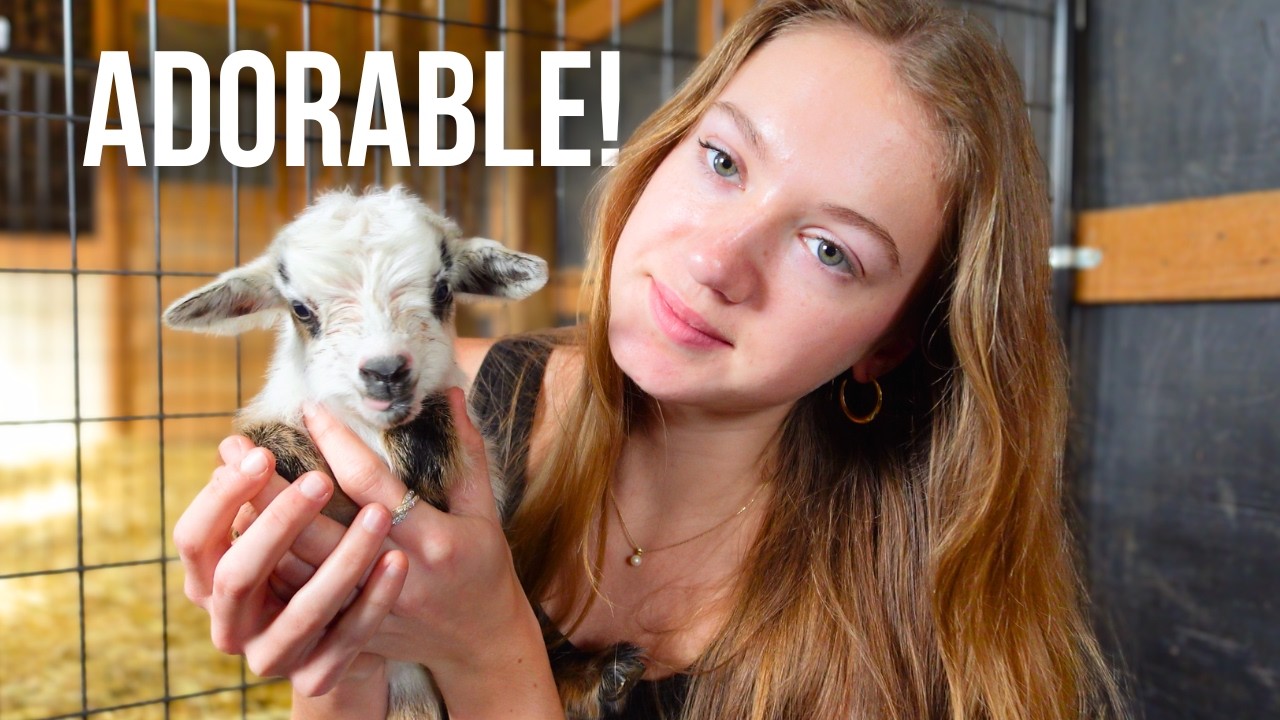 Забота о новорожденном малыше на ферме!