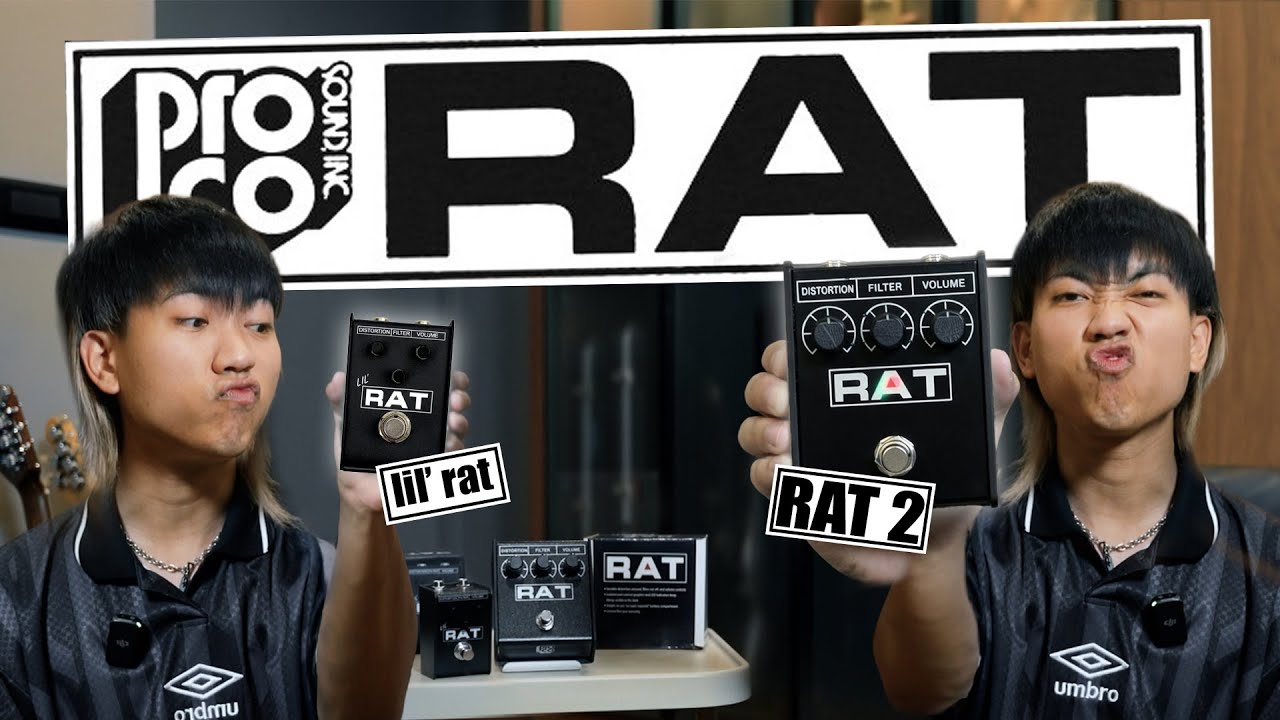 ProCo Rat 2 & Lil' Rat Distortion เสียงแตกสามัญประจำบอร์ดที่ยังเป็นตำนาน และปรับได้กว้างจัด