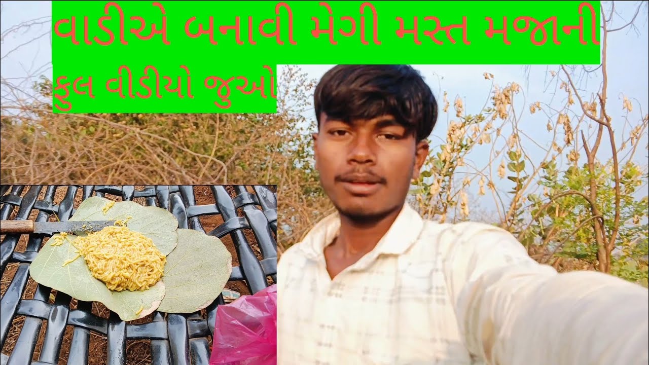 વાડીએ બનાવી મેંગી મસ્ત મજાની