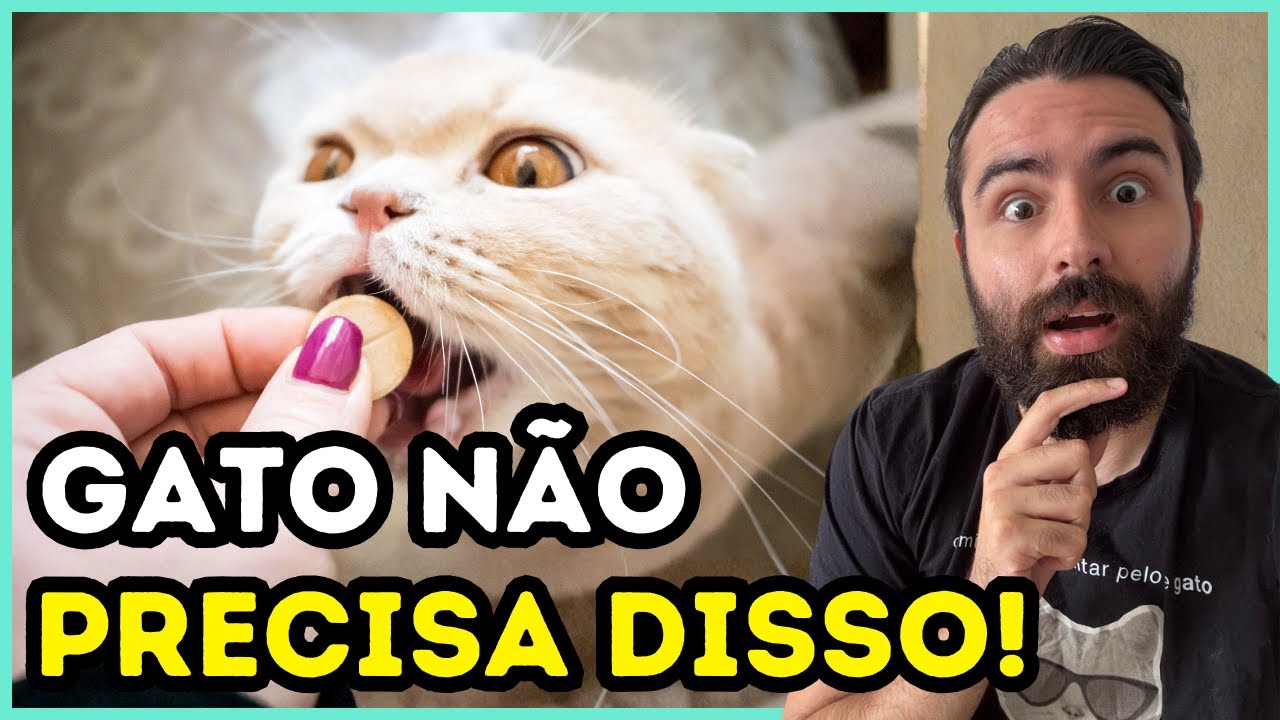 A Indústria Pet Tenta Vender ISSO Para o Seu Gato Mas é ENGANAÇÃO!