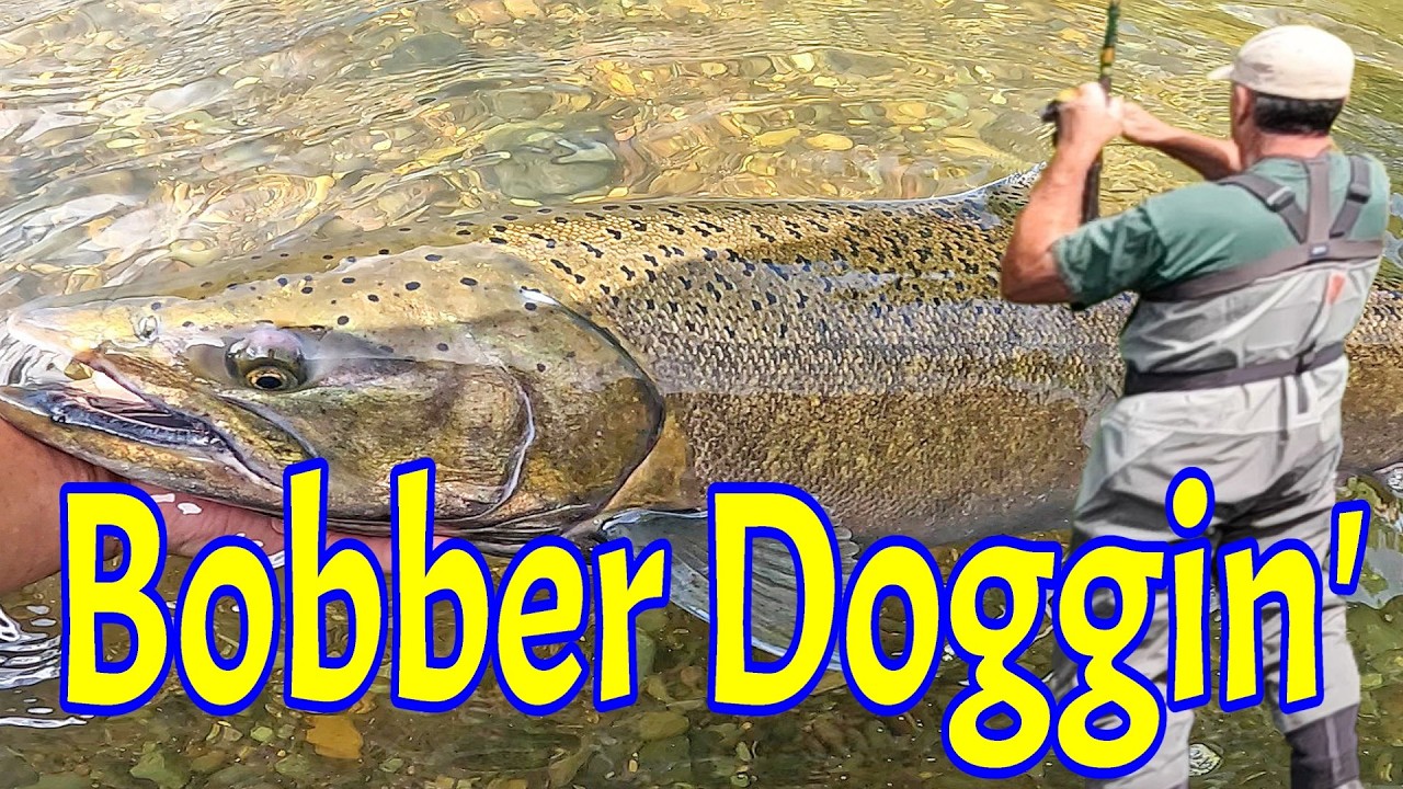 First Chinook of the Season