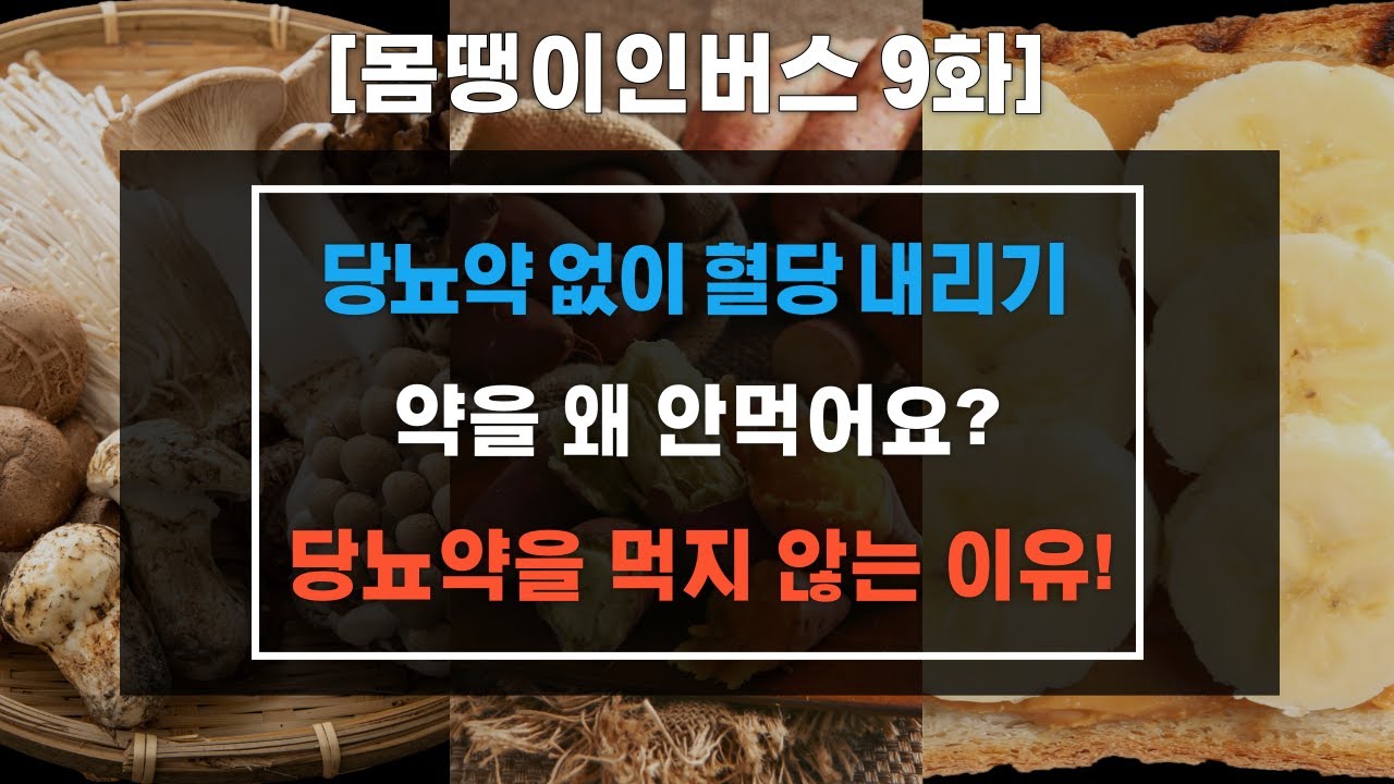 [몸땡이인버스9화]당뇨약 없이 혈당 내리기, 약을 왜 안먹어요? 당뇨약을 먹지 않는 이유?