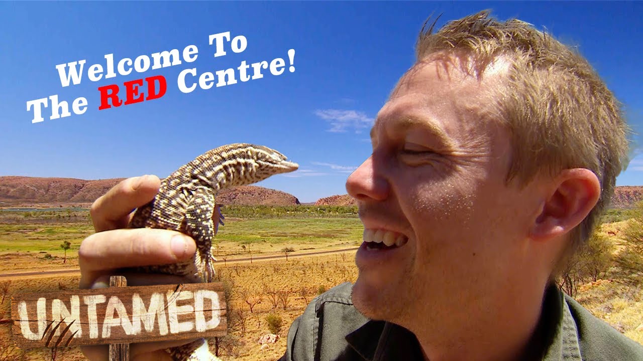 Discovering The Reptiles Of Australia's Red Centre! 🇦🇺 | The Wild Life Of Tim Faulkner | Untamed