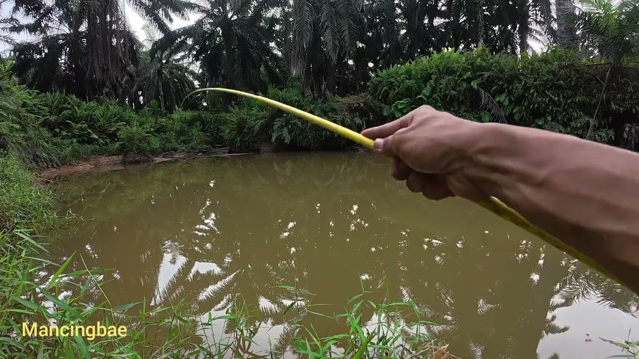 Tidak Mengecewakan!!! Di Spot ini Banyak Strek yang saya dapat