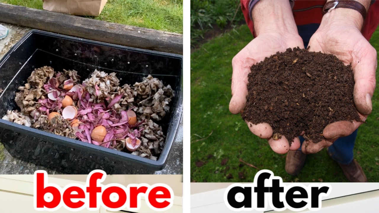 DIY Compost Pile | How to Make my own Compost Pile Fast.
