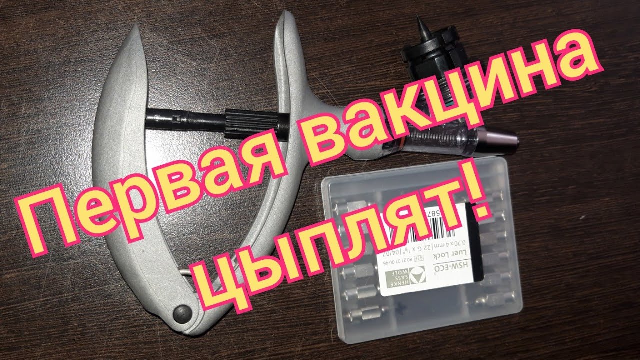 Вакцинация цыплят с первых дней жизни! Как правильно всё сделать!