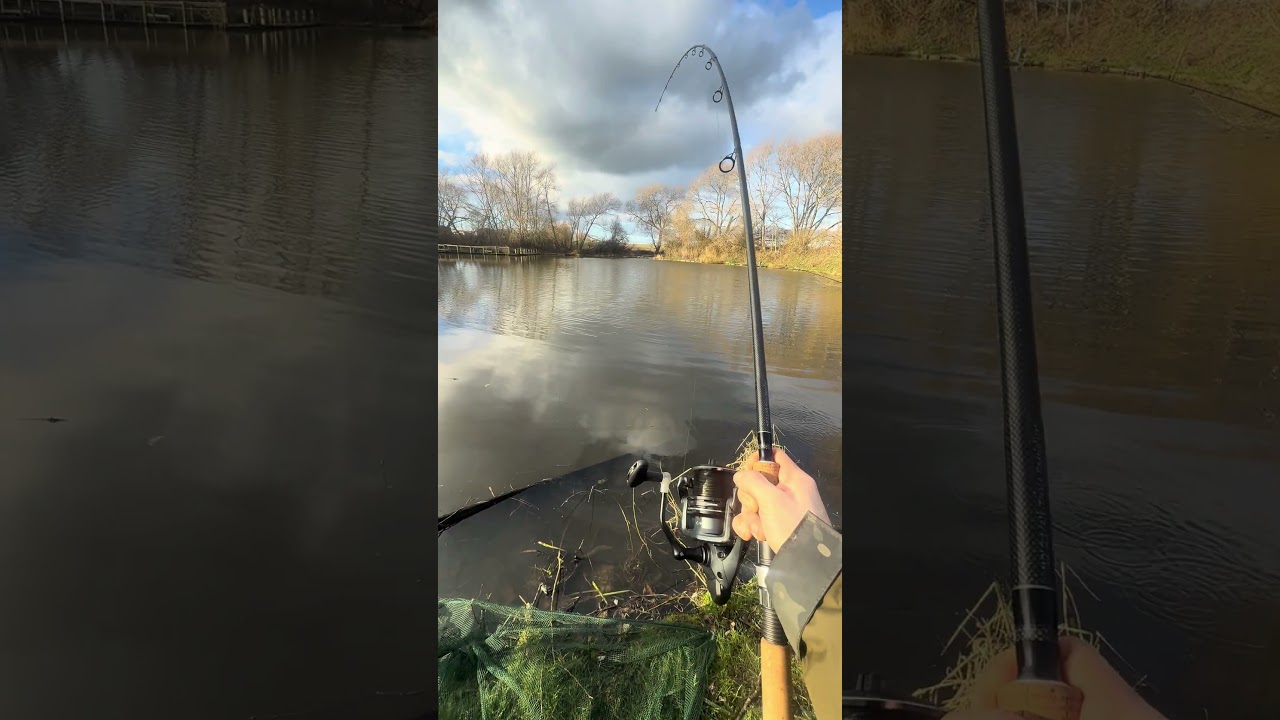 Sturgeon fishing at woodlands lakes and lodges #fishing #sturgeonfishing #winterfishing #povfishing