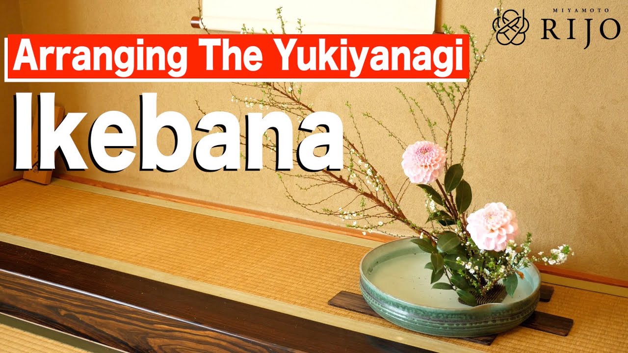 Ikebana Lesson | How To Make Beautiful Curves | Moribana Using Yukiyanagi (Thunberg Spirea)