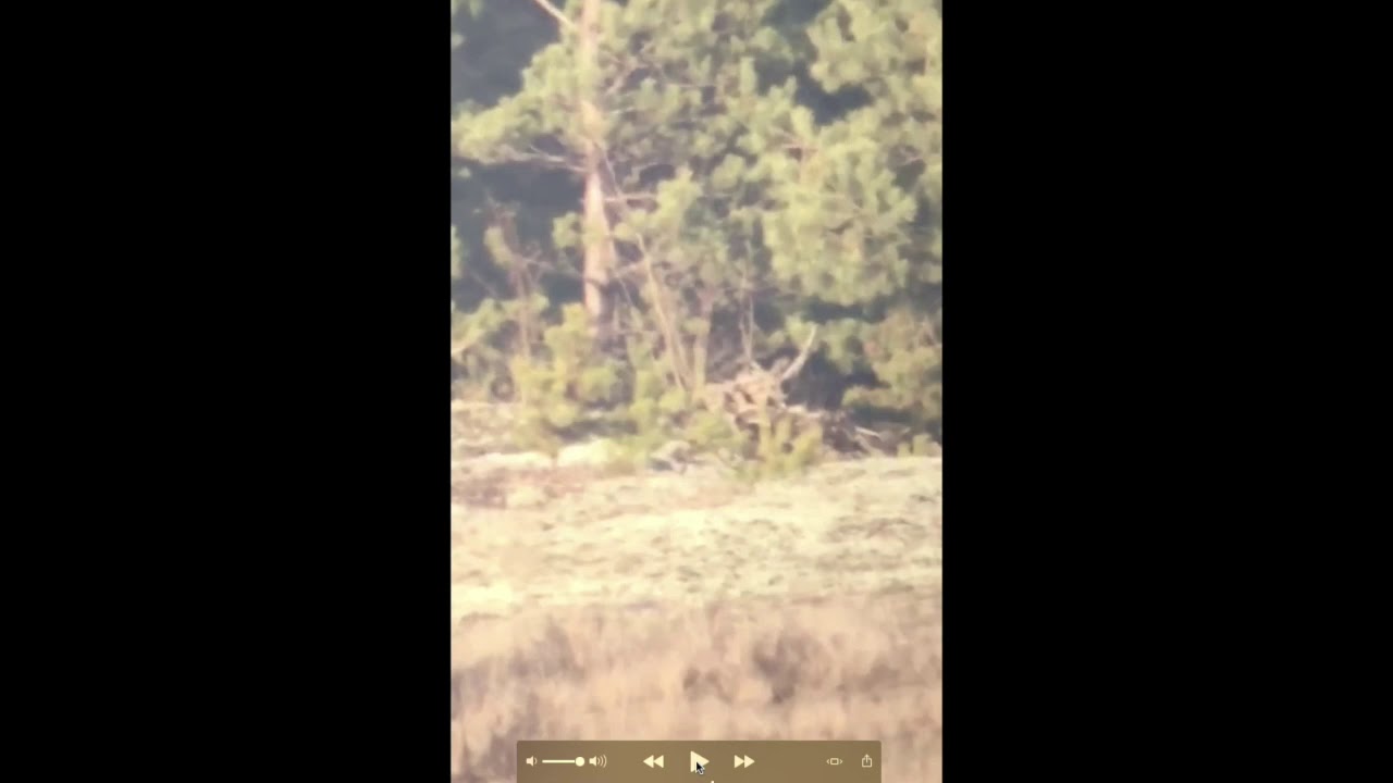 Новости Полигона 7 (Ветровые кондиции по миражу)