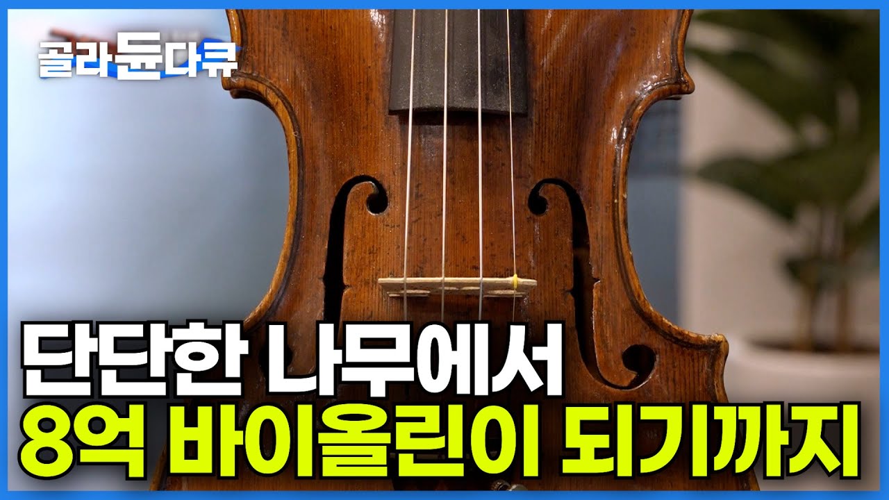 버려진 죽은 나무는 세상에 단 하나뿐인 바이올린으로 재탄생한다┃8억짜리 바이올린ㅣ극한직업ㅣ#골라듄다큐