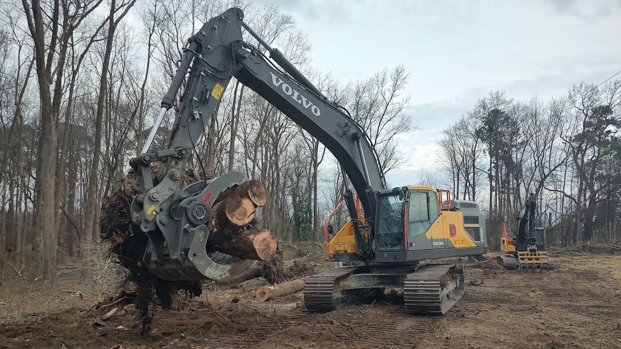 Dangerous Trees Are Safely Removed!