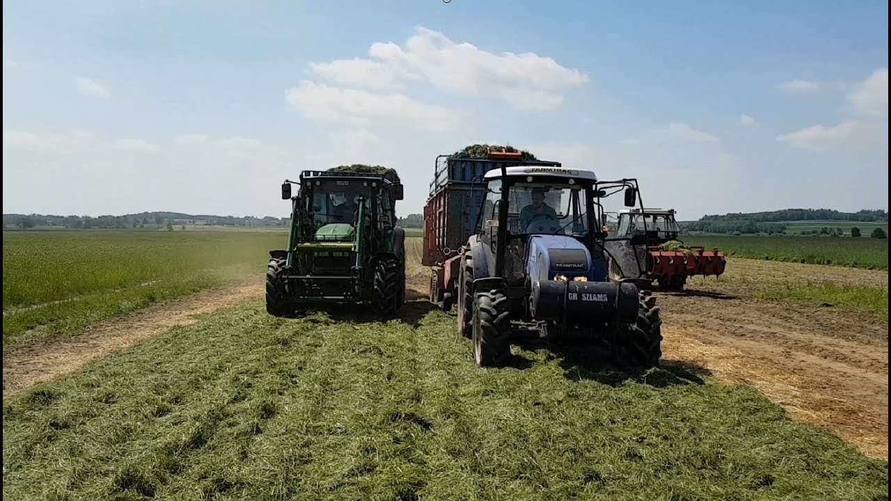 ZBIÓR TRAW 2019