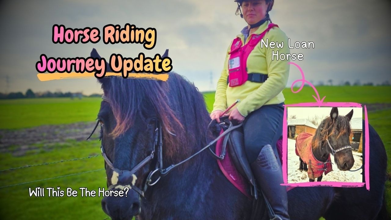 My Horse Riding Journey Update...NEW LOAN HORSE 🐎 Equestrian Journey Update