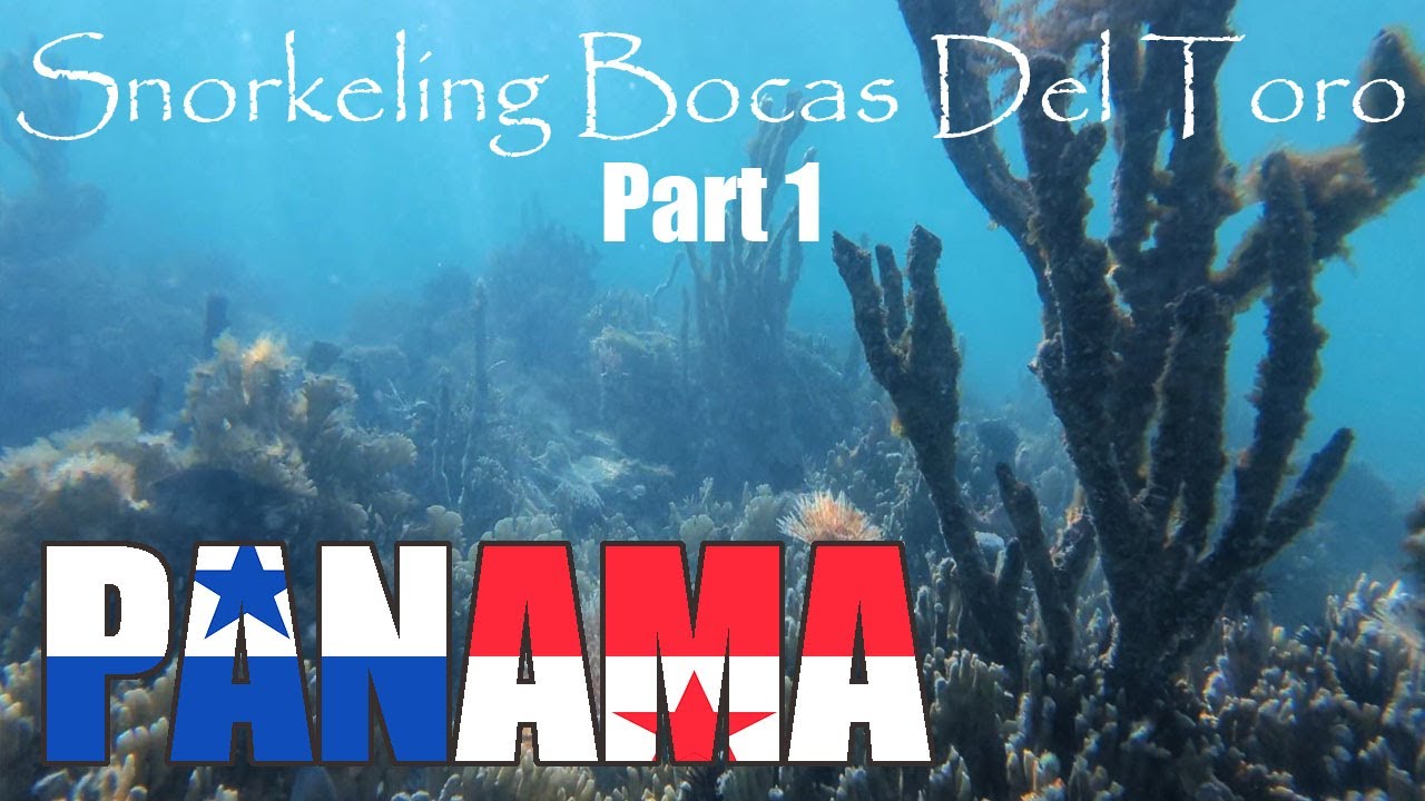2023 Panama   Bocas Del Toro Floating Bar Snorkeling 01