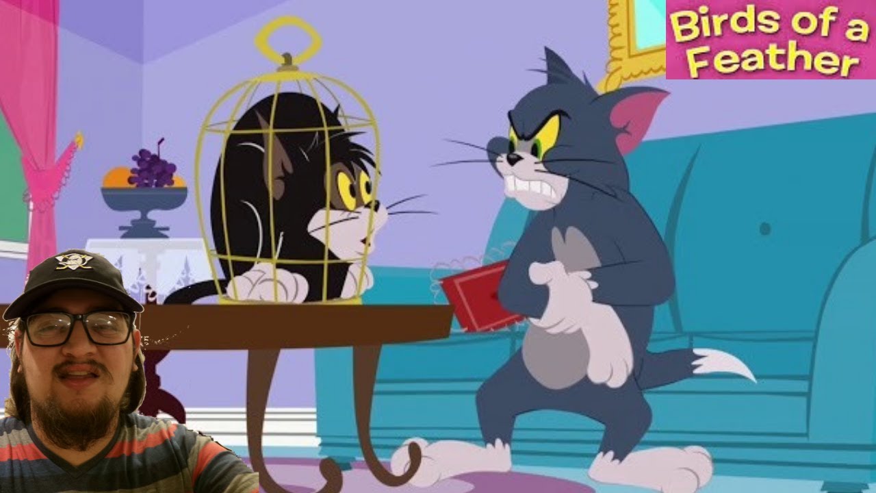 The Tom and Jerry Show (2014): Birds of a Feather – First Time Watching: Tom's Feathered Temptation!