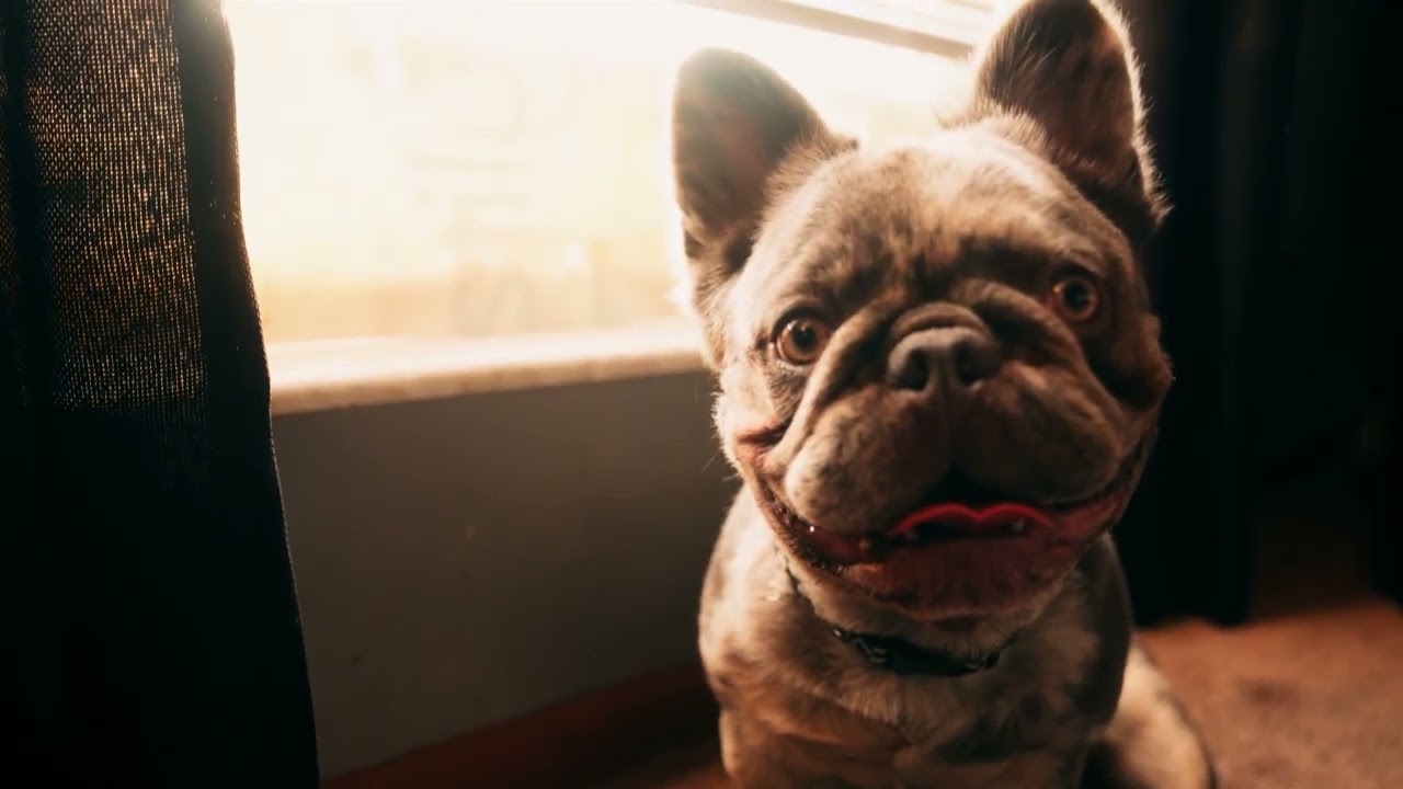 G MONEY - Trust A Soul (Official Music Video)