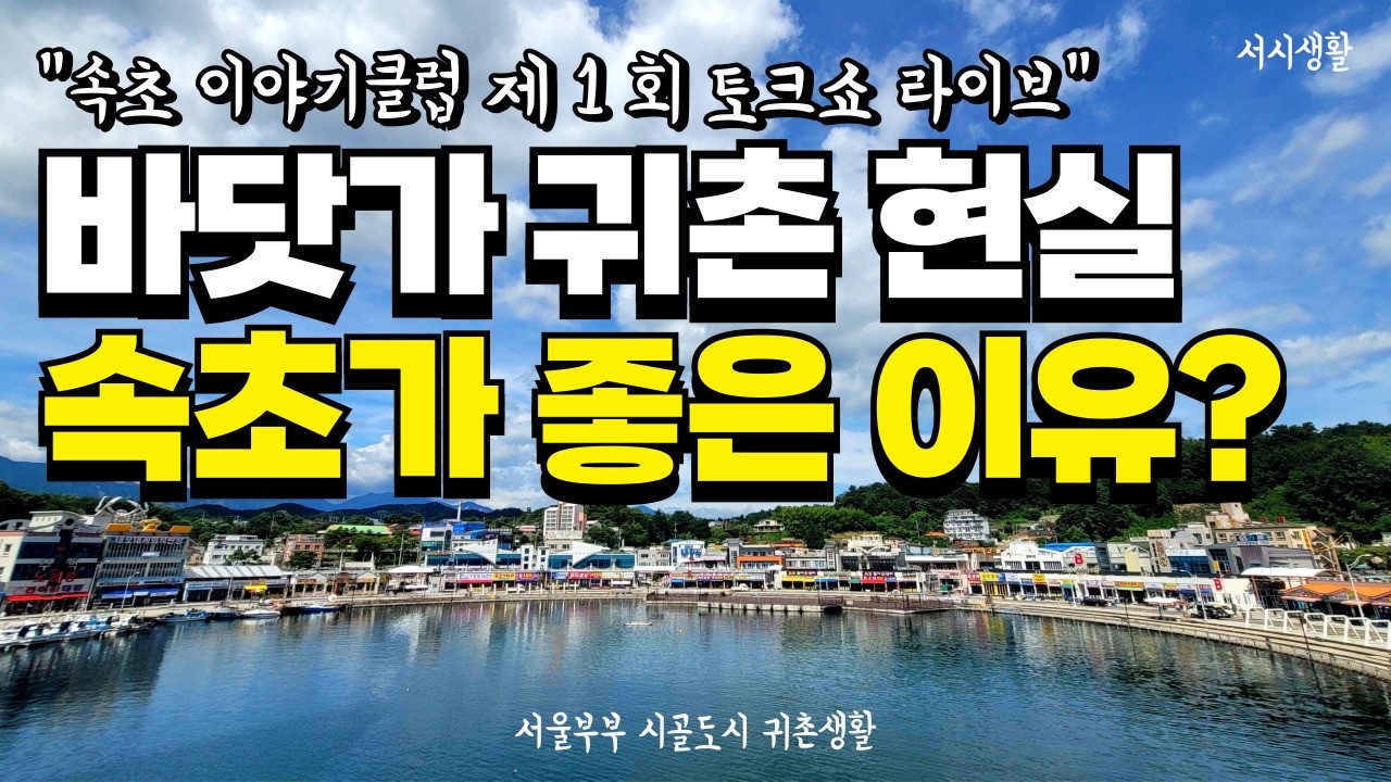 서울 때려치고 속초 귀촌했더니 이게 진짜 삶이었다!