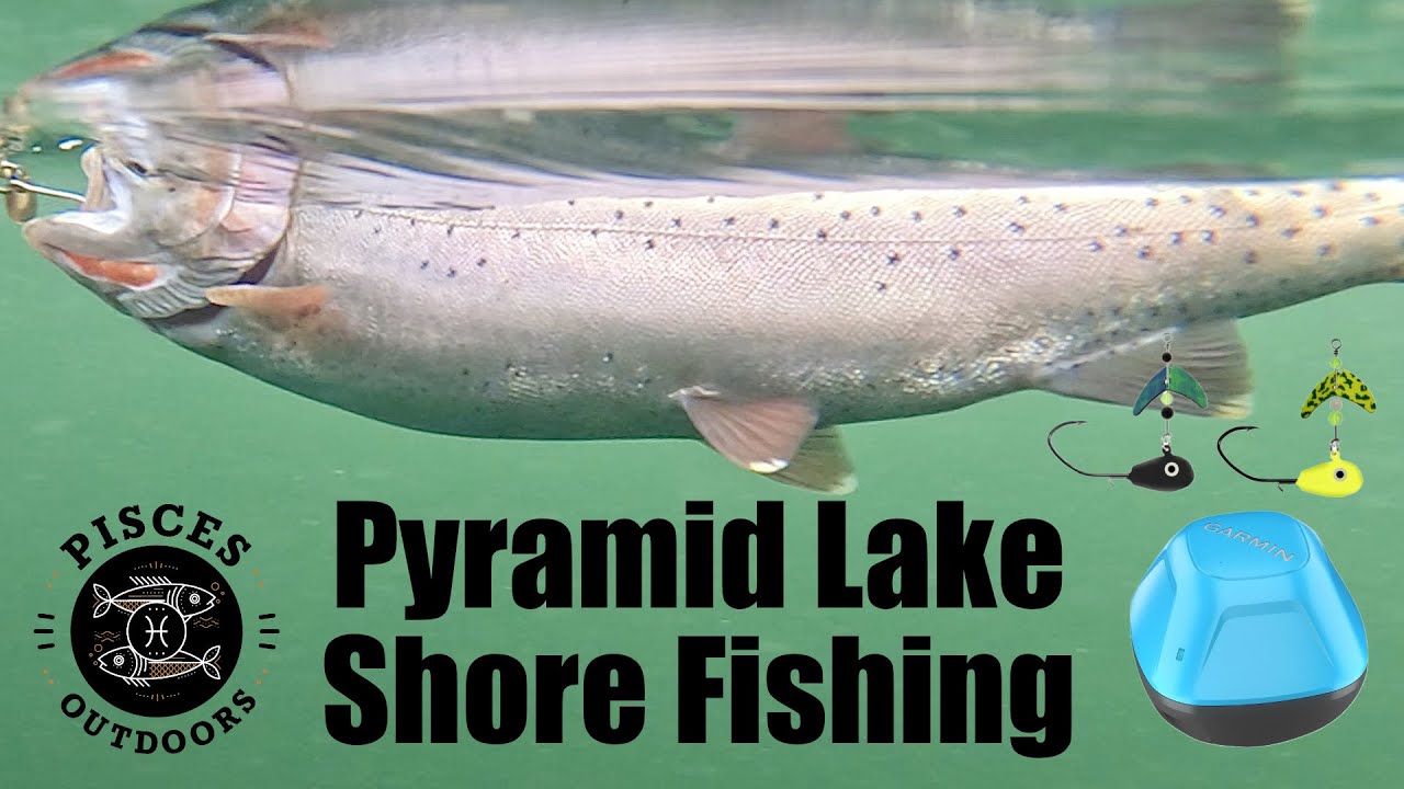 Pyramid Lake Shore Fishing For Lahontan Cutthroat Trout