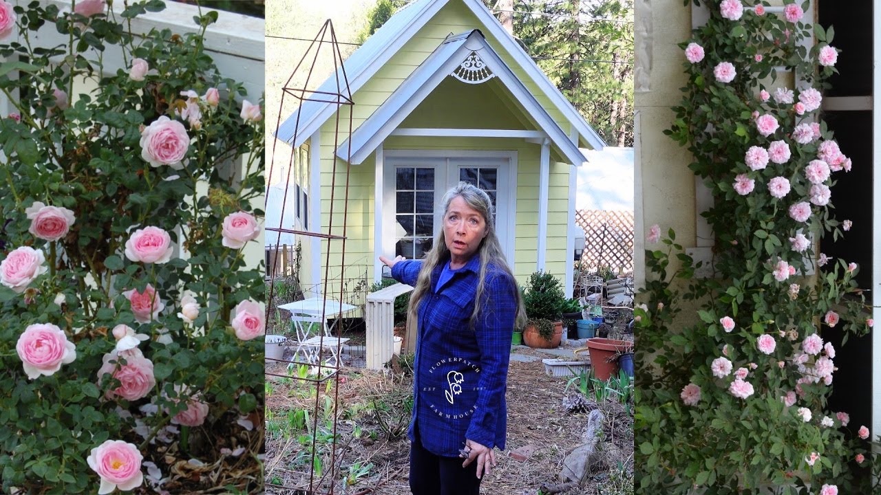 Rose Cottage Garden Design - In The Beginning - Flower Patch