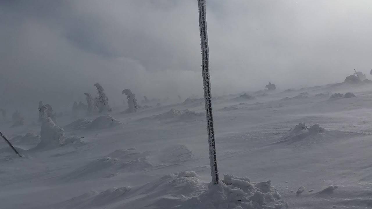 Wyprawa Polarna (szkolenie)