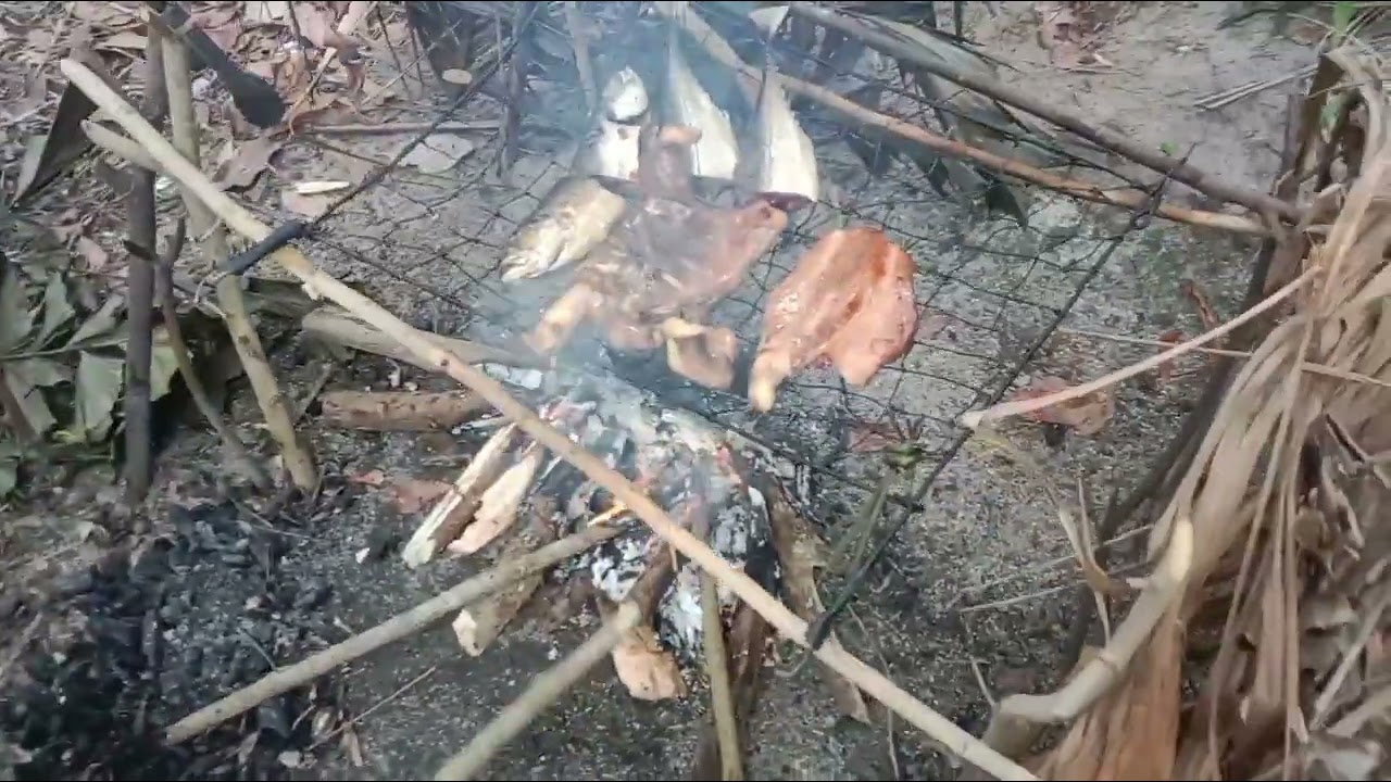 Santai2 petang hari minggu kita panggang ikan ayam tua dan babi🙏✌️