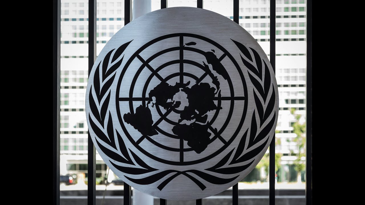 What&rsquo;s Left of International Law after UNSC Resolution 2803 on Gaza?