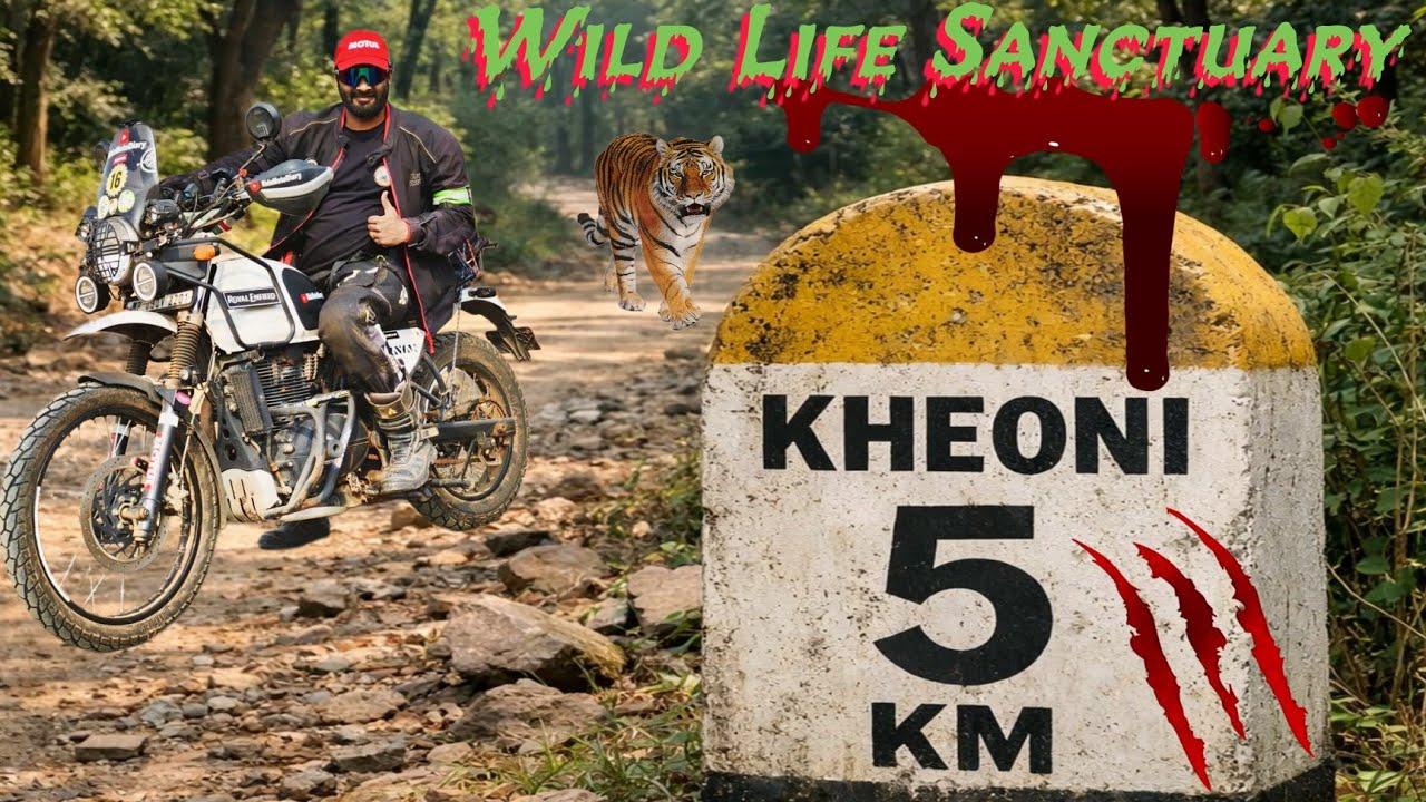 KHEONI WILD LIFE SANCTUARY I HIDDEN FOREST IN MADHYA PRADESH 170KM FROM INDORE I BEAUTY OF WILD LIFE